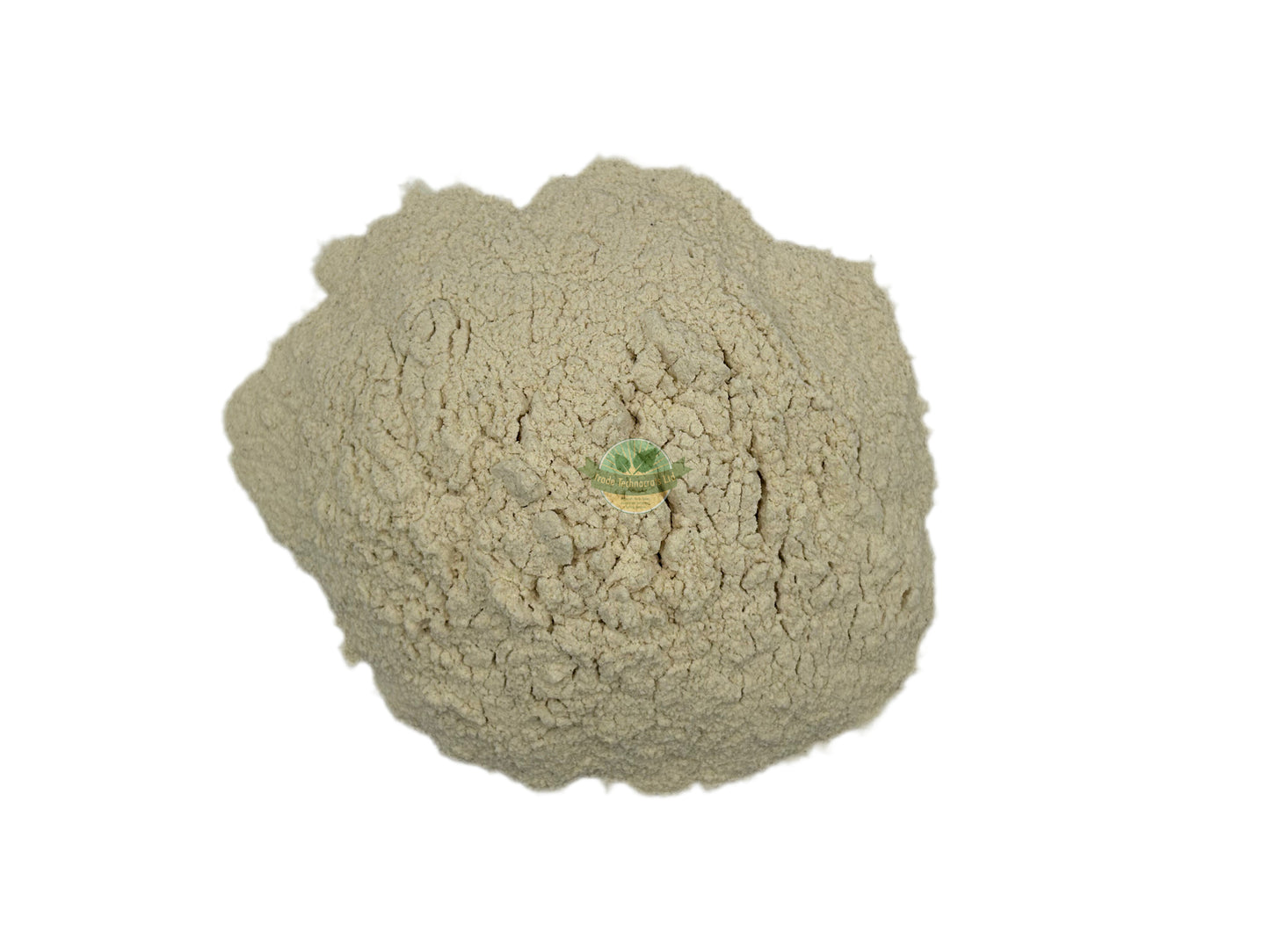 ASPARAGUS ADSCENDES RT. PWD.(WHITE MUSLI)