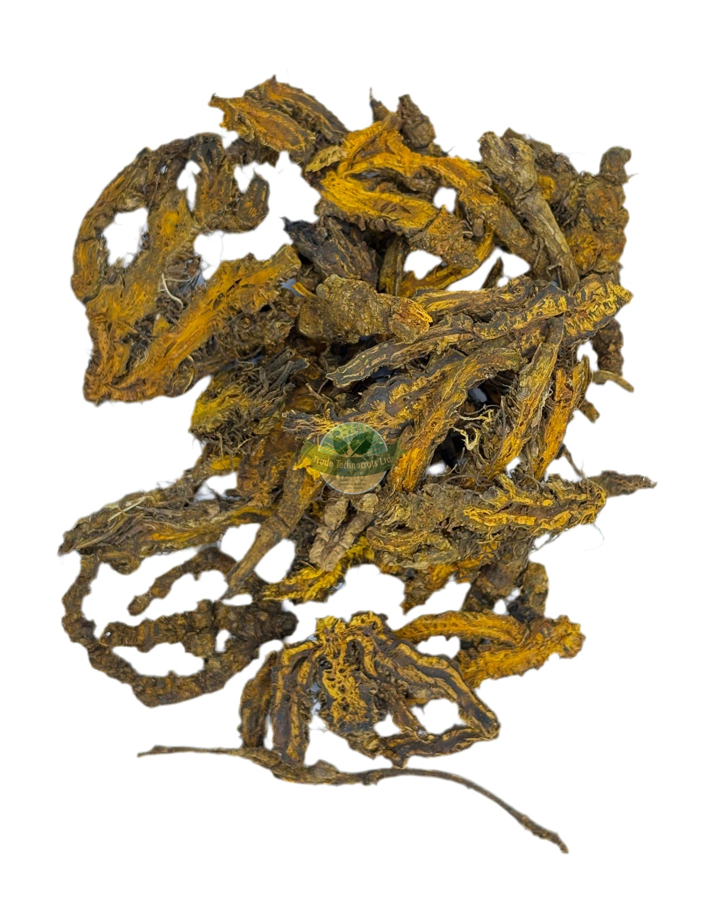 COPTIS (GOLD THREAD)