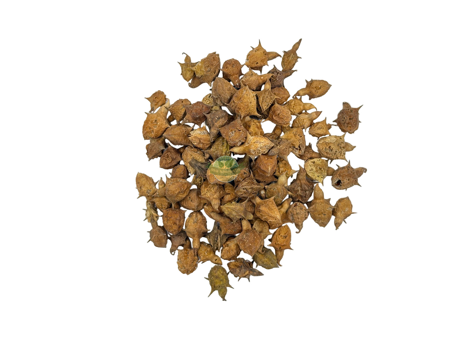 GOKSURA WHOLE (LARGE)