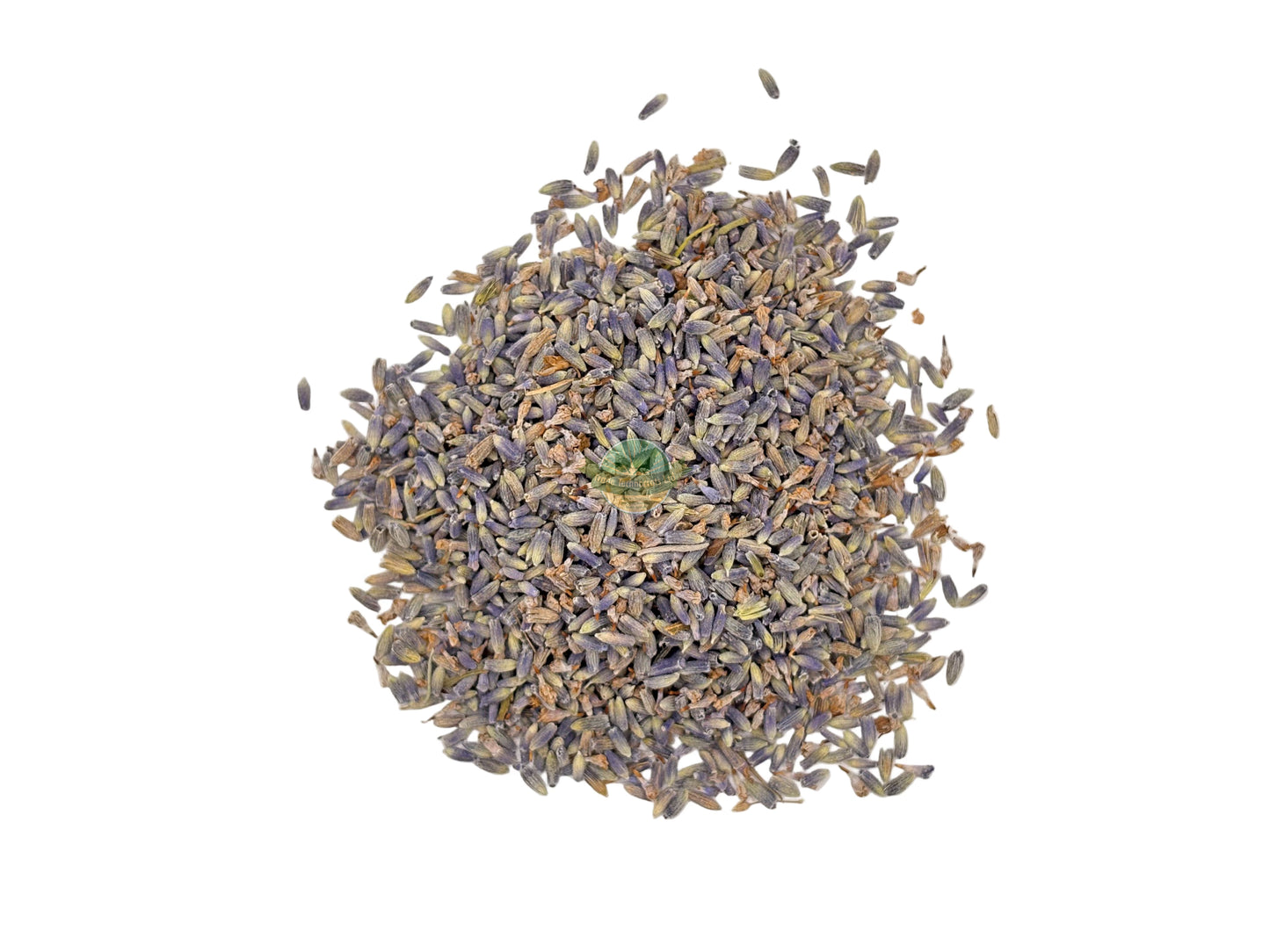 LAVENDER FLOWER SUPER BLUE