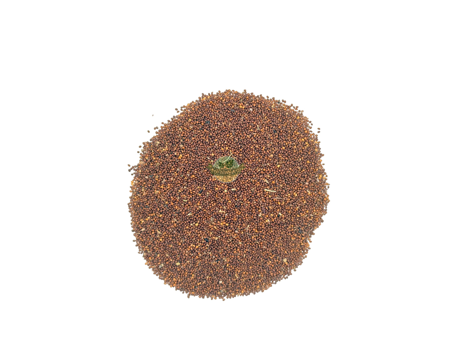 TULSI SEED WHOLE