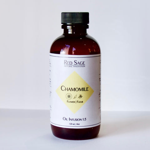 CHAMOMILE FLOWER OIL INFUSION