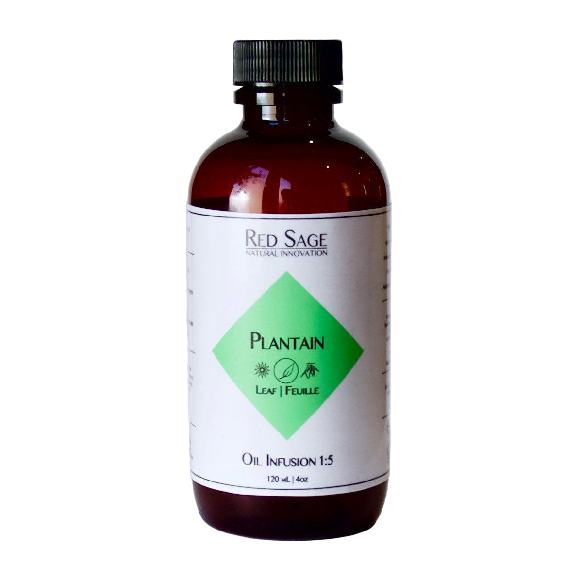 PLANTAIN LEAF OIL INFUSION