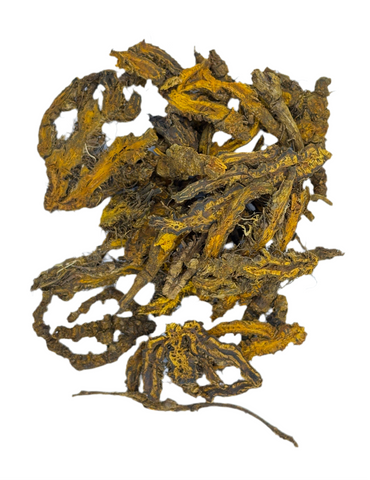 COPTIS (GOLD THREAD)