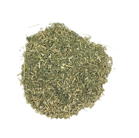 BUGLEWEED HERB C/S