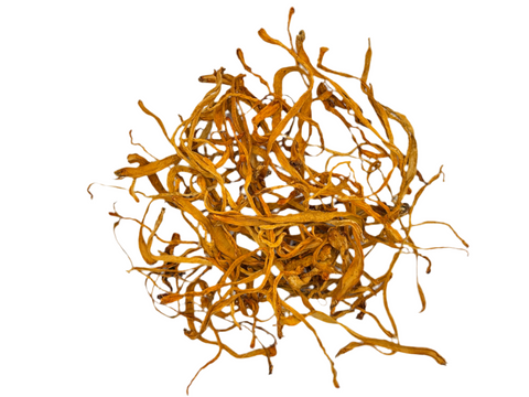CORDYCEPS WHOLE