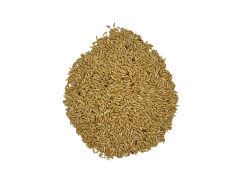 CANARY SEEDS WHOLE