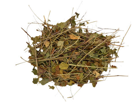 GROUND IVY HERB C/S