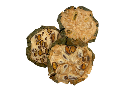 CHINESE CUCUMBER