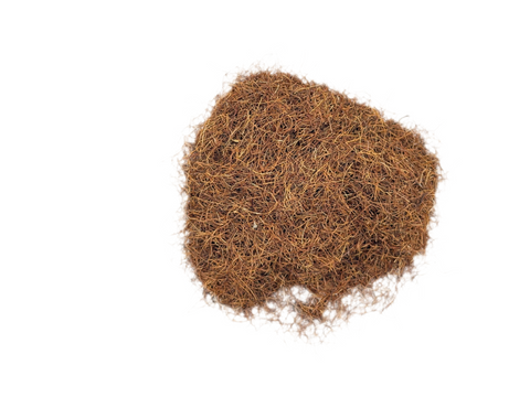 CORNSILK C/S