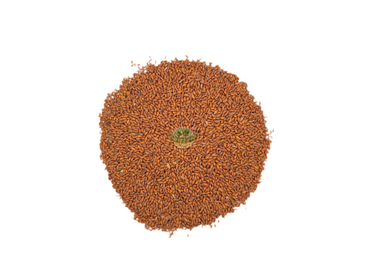 ASALIA SEED WHOLE