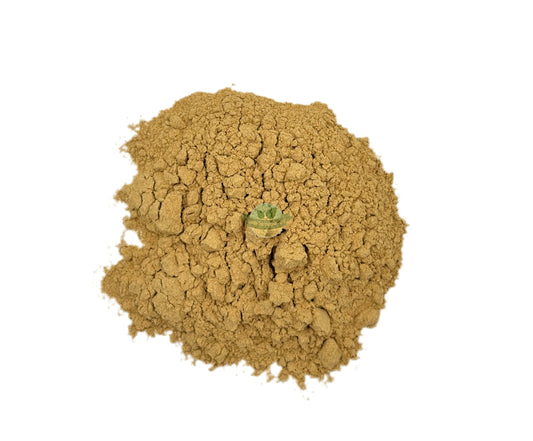 ASTRAGALUS ROOT POWDER