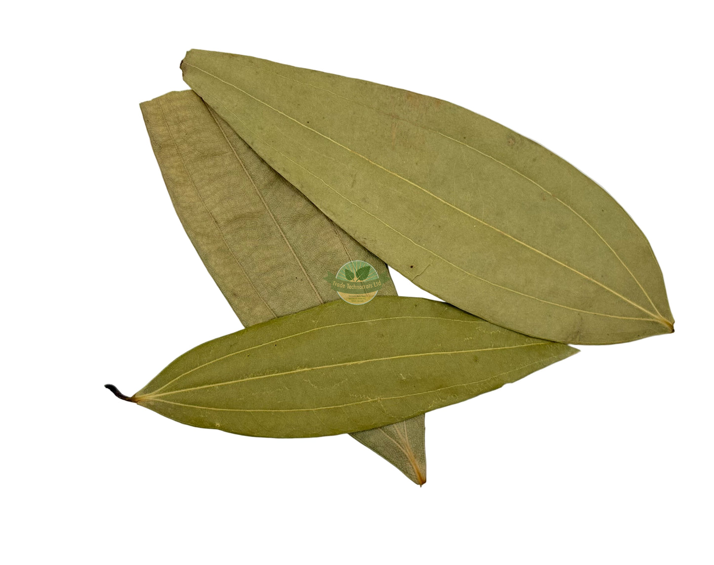 BAY LEAVES