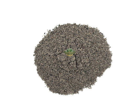 BLACK SEED POWDER
