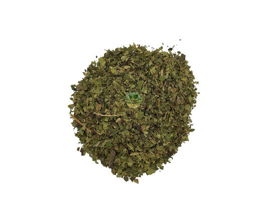 BLACK WALNUT LEAVES C/S