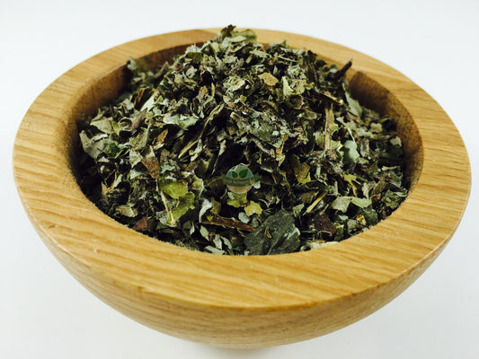 BUTTERBUR PURPLE LEAVES C/S