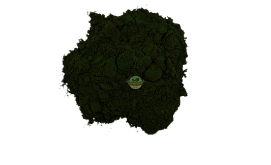 CHLORELLA POWDER