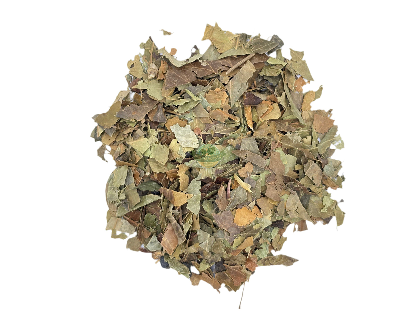 CLIMBING IVY HERB C/S