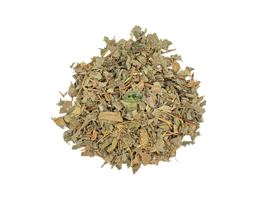 DESMODIUM ADSCENDENS