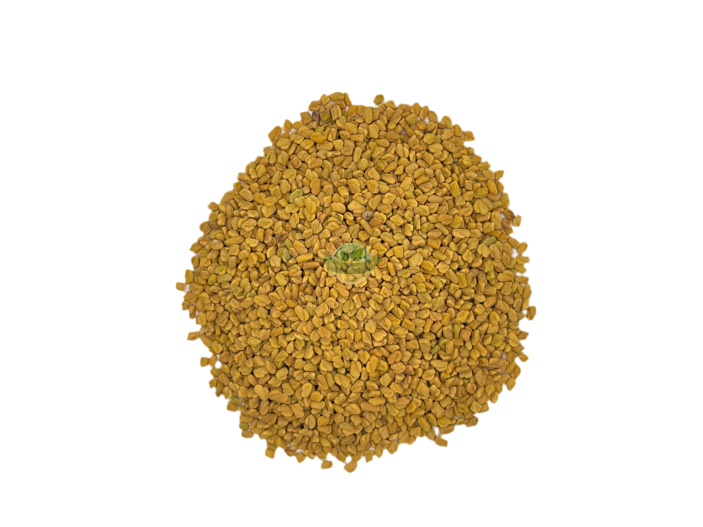 FENUGREEK SEED