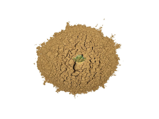 FO-TI ROOT POWDER