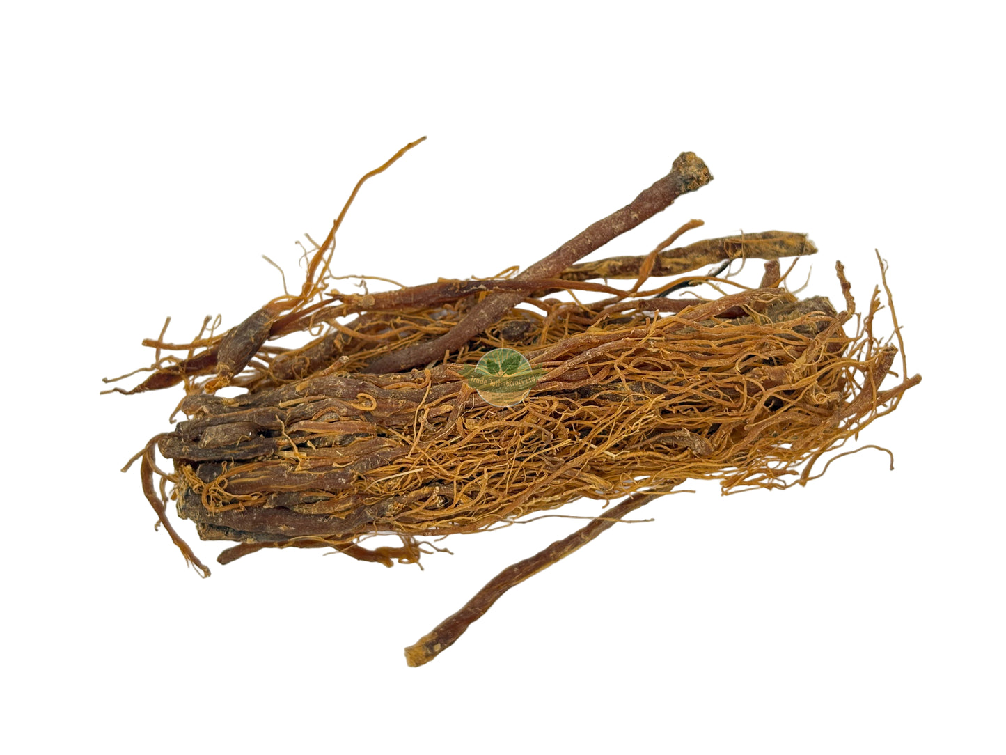 GINSENG PANAX KOREAN ROOT