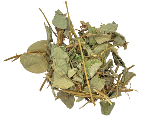 GOLD COIN GRASS HERB C/S