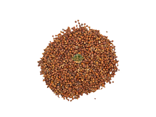 GRAIN OF PARADISE WHOLE