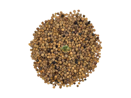GUAR GUM SEED WHOLE