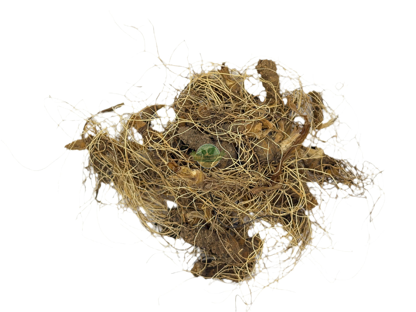 FALSE UNICORN (HELONIOUS)