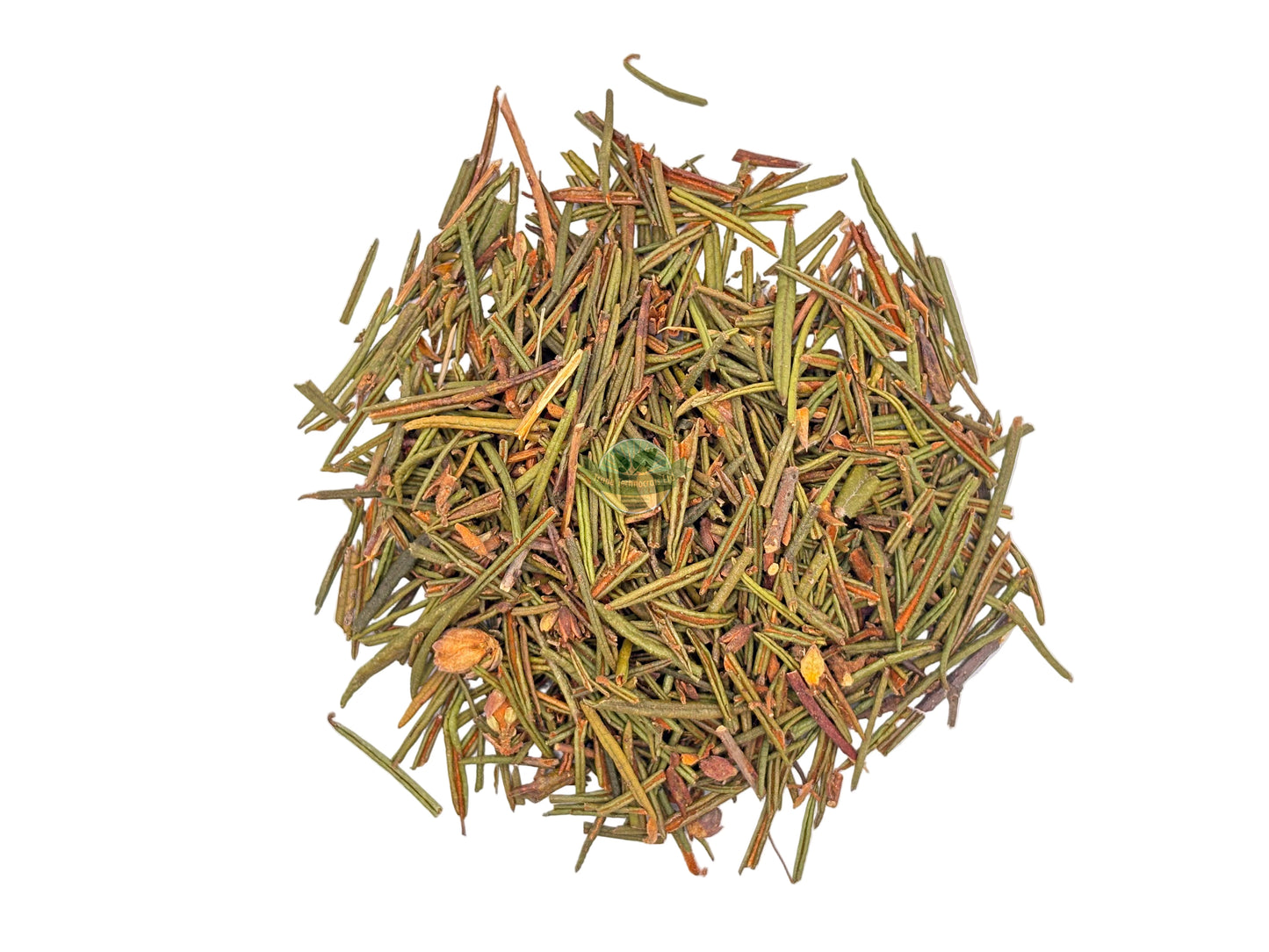 LABRADOR MARSH HERB C/S