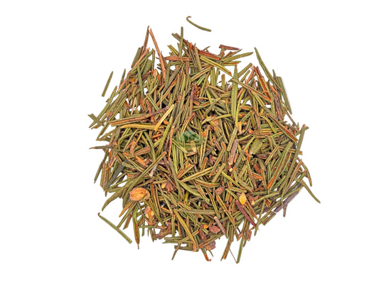 LABRADOR MARSH HERB C/S