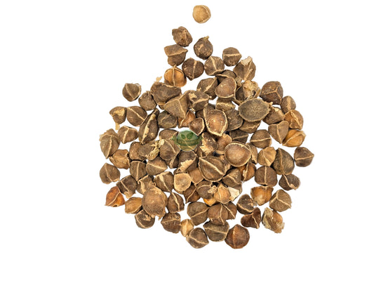 MORINGA SEEDS WHOLE