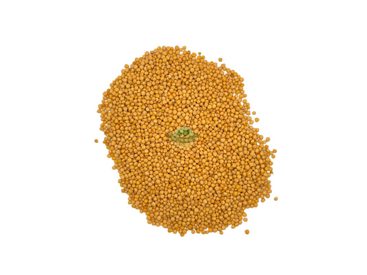 MUSTARD SEED YELLOW