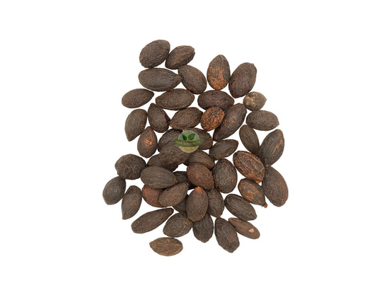 SAW PALMETTO BERRIES WHOLE