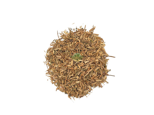 SENEGA SNAKEROOT C/S