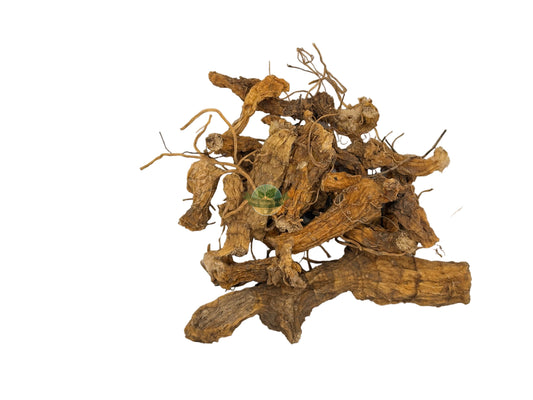 SOLOMON SEAL ROOT