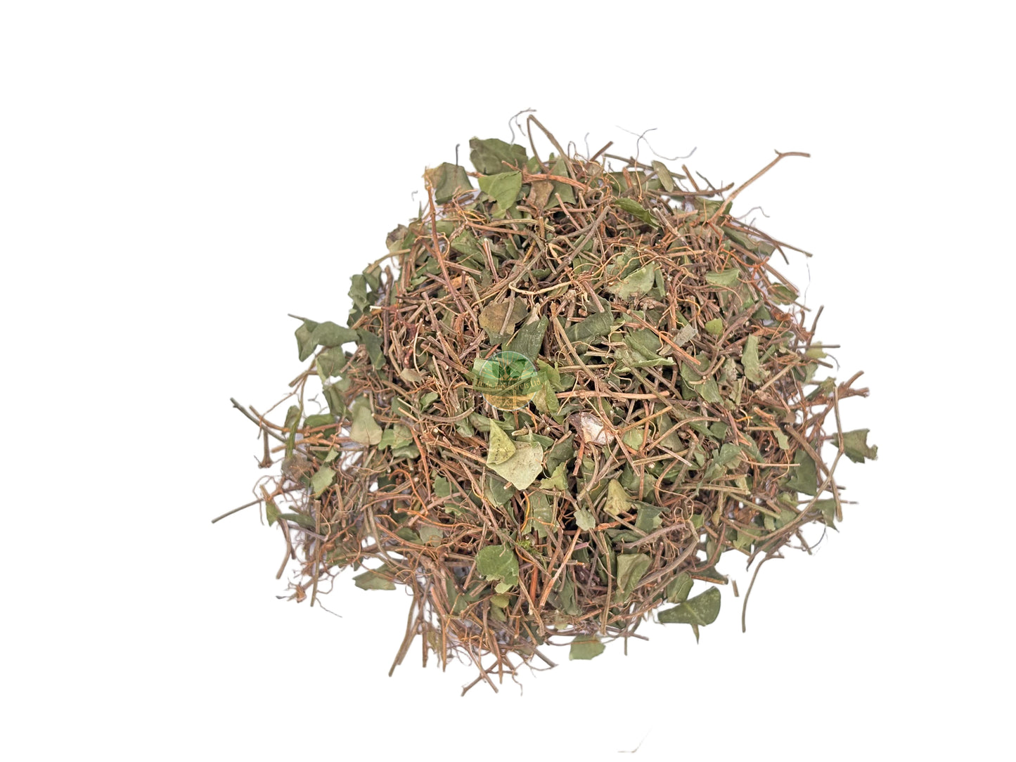 SQUAW VINE HERB (PARTRIDGE BERRY) C/S