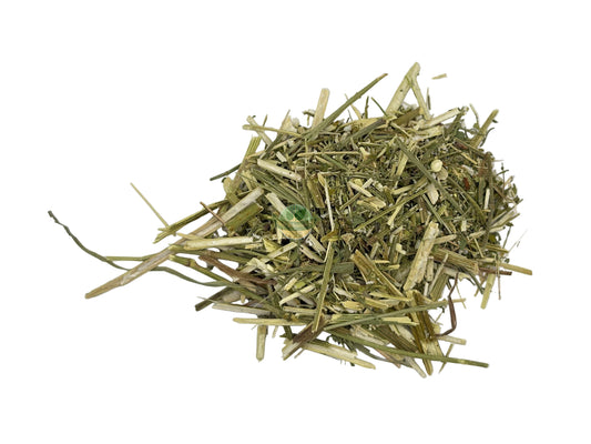 WILD CARROT HERB C/S