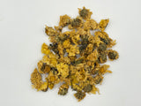 CHRYSANTHEMUM FLOWER
