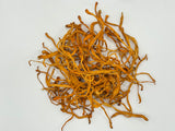 CORDYCEPS WHOLE