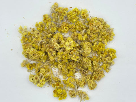 EVERLASTING FLOWER (Yellow Chaste Weed)