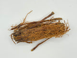 GINSENG PANAX KOREAN ROOT
