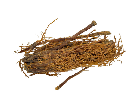 GINSENG PANAX KOREAN ROOT