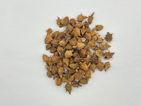 GOKSURA WHOLE (PUNCTURE VINE - LARGE)