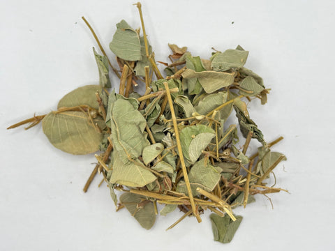 GOLD COIN GRASS HERB C/S