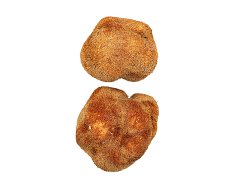 LION'S MANE MUSHROOMS WHOLE