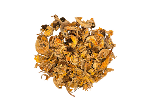PALASH FLOWER WHOLE