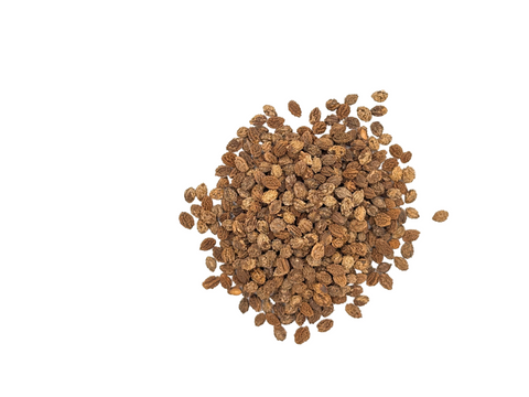 PAPAYA SEEDS WHOLE