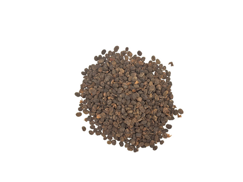 PSORALEA SEEDS